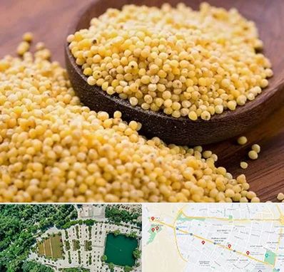 فروش ارزن در وکیل آباد مشهد 