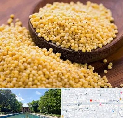 فروش ارزن در هشت بهشت اصفهان 