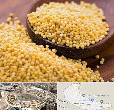 فروش ارزن در پرند