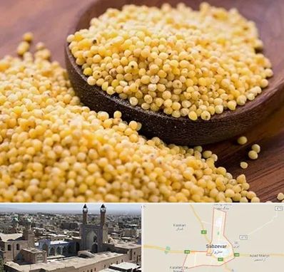 فروش ارزن در سبزوار