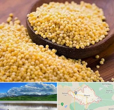 فروش ارزن در مرند