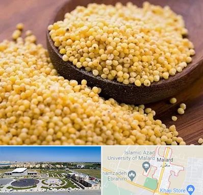 فروش ارزن در ملارد