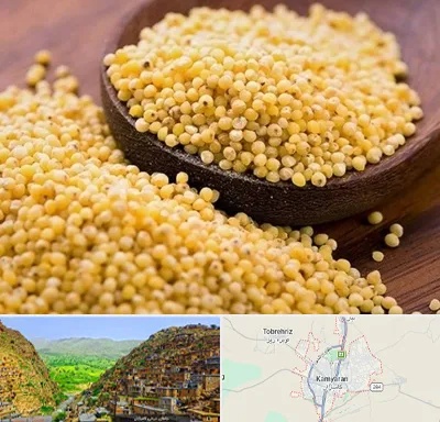فروش ارزن در کامیاران