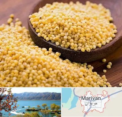 فروش ارزن در مریوان