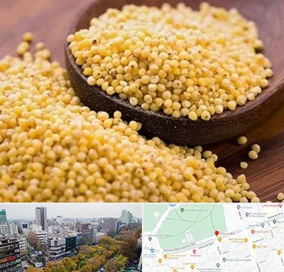 فروش ارزن در بلوار کشاورز 