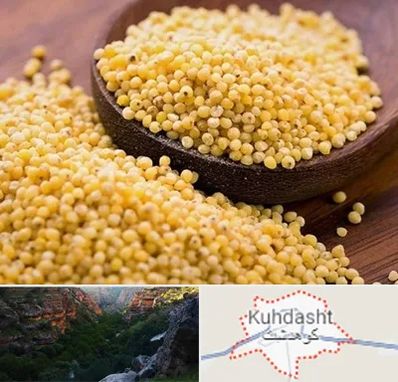 فروش ارزن در کوهدشت