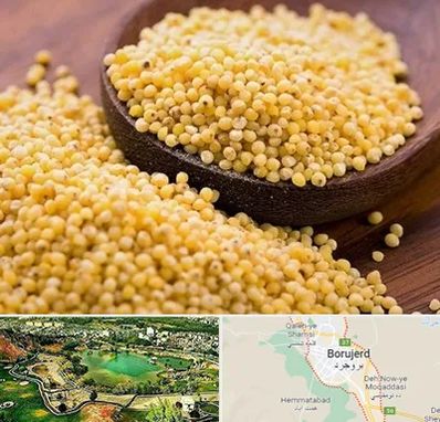 فروش ارزن در بروجرد