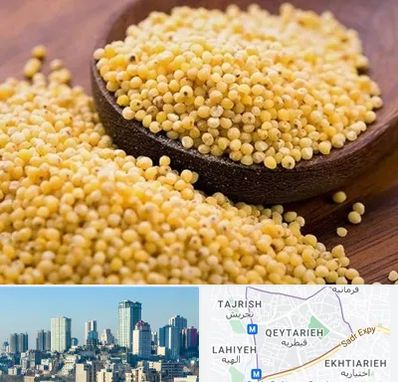 فروش ارزن در قیطریه