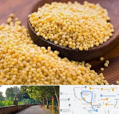 فروش ارزن در فلکه گاز رشت 