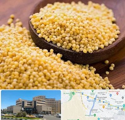 فروش ارزن در صیاد شیرازی مشهد 