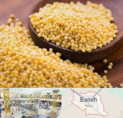 فروش ارزن در بانه