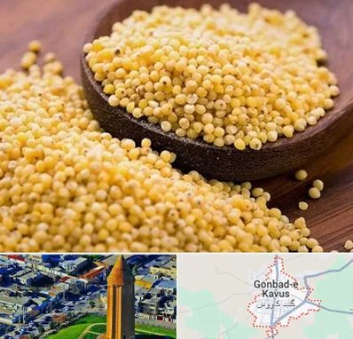 فروش ارزن در گنبد کاووس