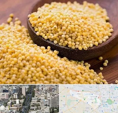 فروش ارزن در منطقه 18 تهران 