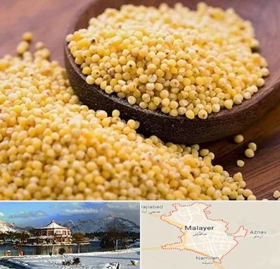 فروش ارزن در ملایر