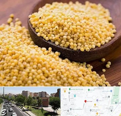فروش ارزن در شهرک آزمایش