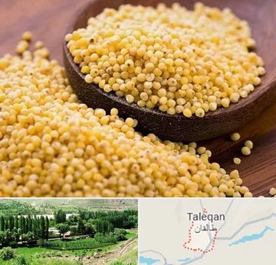 فروش ارزن در طالقان
