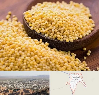 فروش ارزن در اسفراین