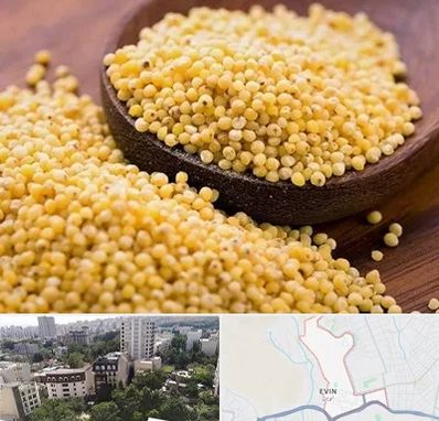 فروش ارزن در اوین