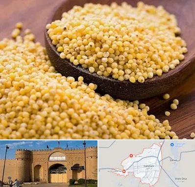 فروش ارزن در ایرانشهر