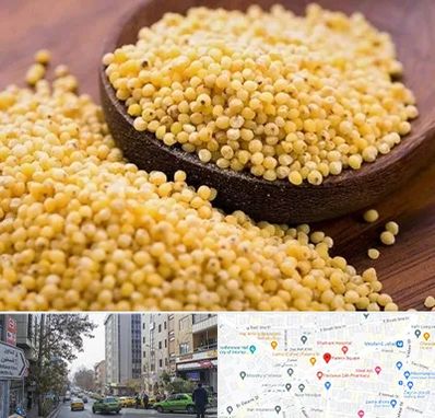 فروش ارزن در فاطمی