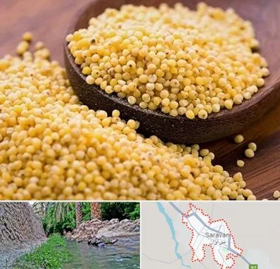 فروش ارزن در سراوان