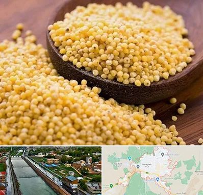 فروش ارزن در مراغه