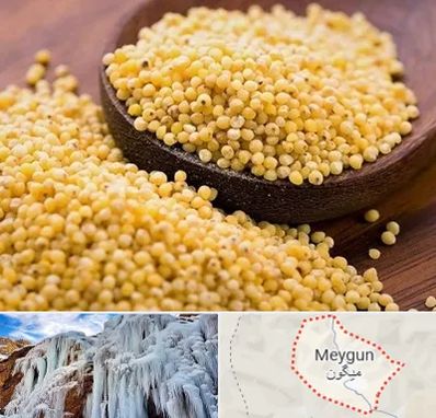 فروش ارزن در میگون