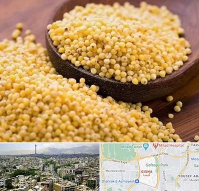 فروش ارزن در گیشا