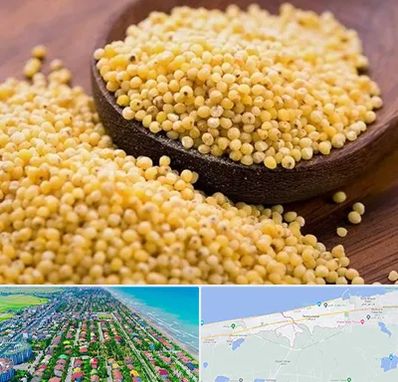 فروش ارزن در فریدونکنار