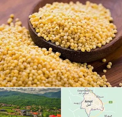 فروش ارزن در آمل