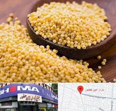 فروش ارزن در امین حضور