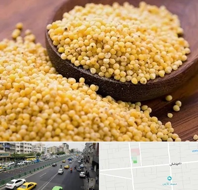 فروش ارزن در خیابان دامپزشکی
