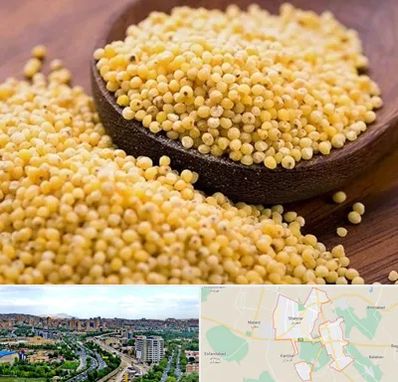 فروش ارزن در شهریار