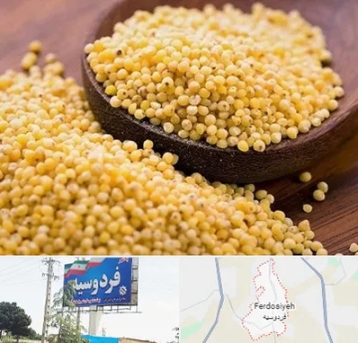 فروش ارزن در فردوسیه شهریار