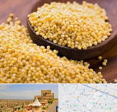 فروش ارزن در هاشمیه مشهد 