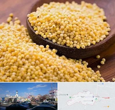 فروش ارزن در ماهدشت کرج 