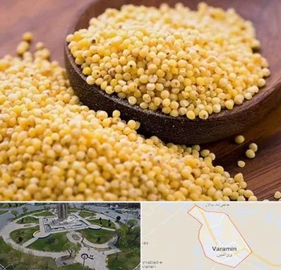 فروش ارزن در ورامین