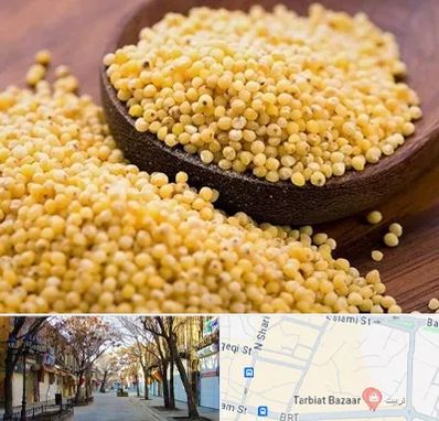 فروش ارزن در تربیت تبریز