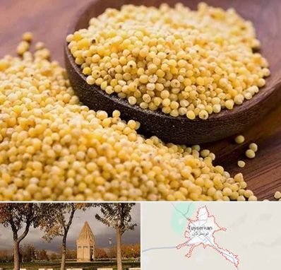 فروش ارزن در تویسرکان
