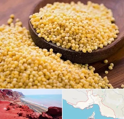 فروش ارزن در هرمزگان
