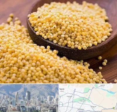 فروش ارزن در شمال شرق تهران