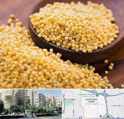 فروش ارزن در آپادانا