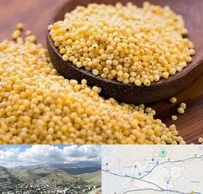 فروش ارزن در رودهن