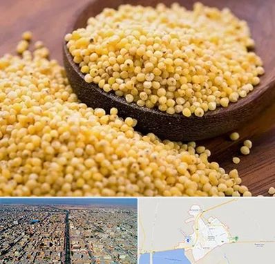 فروش ارزن در بندر ماهشهر