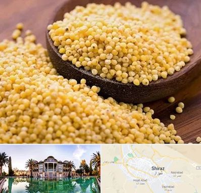 فروش ارزن در شیراز