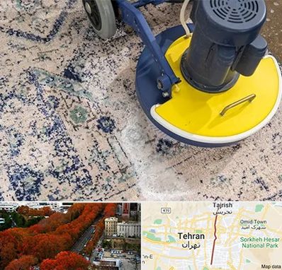 قالی شویی فرش دستباف در ولیعصر 