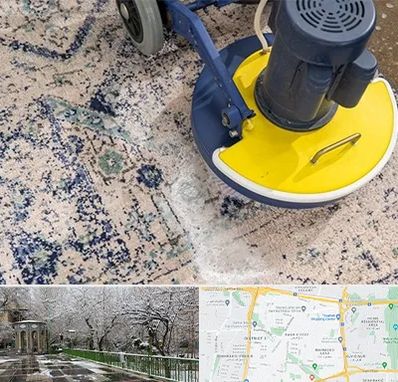 قالی شویی فرش دستباف در باغ فیض 