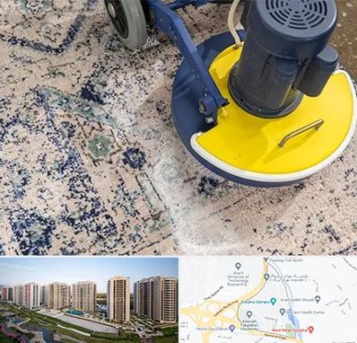 قالی شویی فرش دستباف در المپیک 