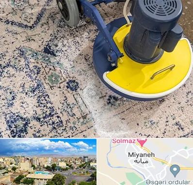 قالی شویی فرش دستباف در میانه