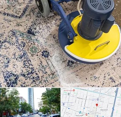 قالی شویی فرش دستباف در امامت مشهد 